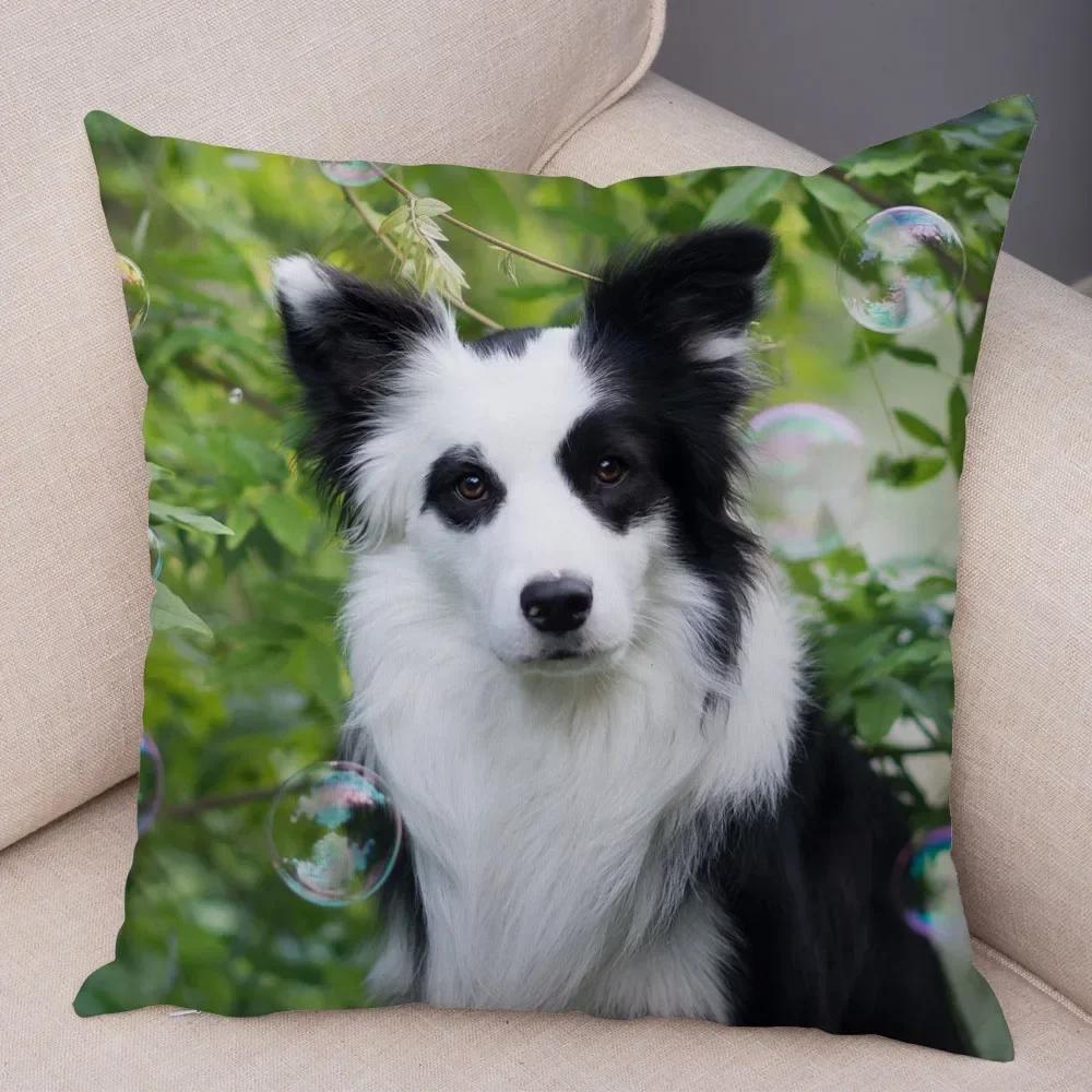 Cute Scottish Border Collie Pillowcase Dog Print Decor Pet Animal Cushion Cover Sofa