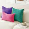 2026 Mutil Size Corduroy Pillow Cover Soft Plush Flannel Cushion Cover Fluffy Couch Pillow Case for Sofa Living Bed Room Decor