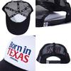 Dickies Standard Logo Baseball Cap - Black (14731700) - Free Size
