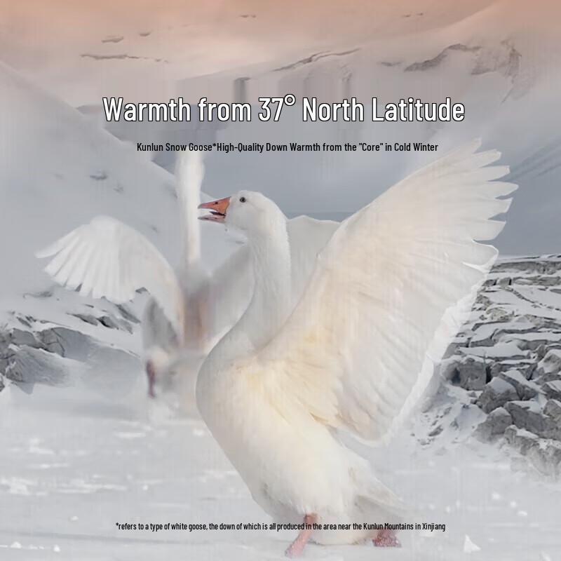 LOVO 95% White Goose Down Winter Duvet