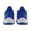 Nike Pg 5 Tb 'Royal' DM5045-401