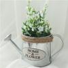 Country Style Home Iron Sheet Embossed Wrought Flower Bucket Watering Can Vases