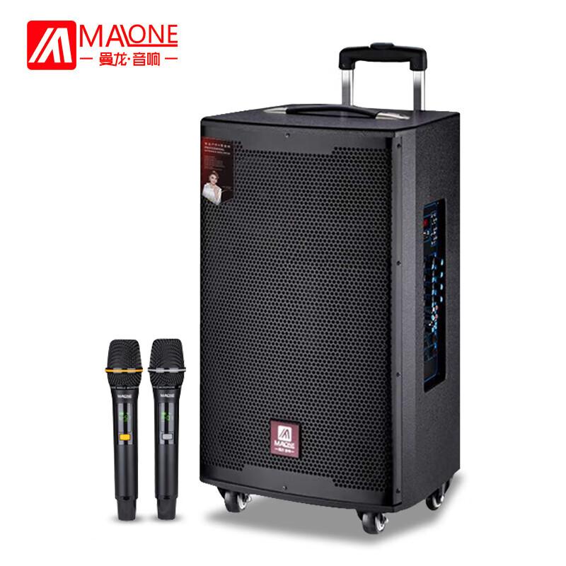 Portable Outdoor Bluetooth Speaker with Dual Wireless Microphones CN plug (adapter included)
