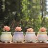 Decoração – Vasos de flores decorativos