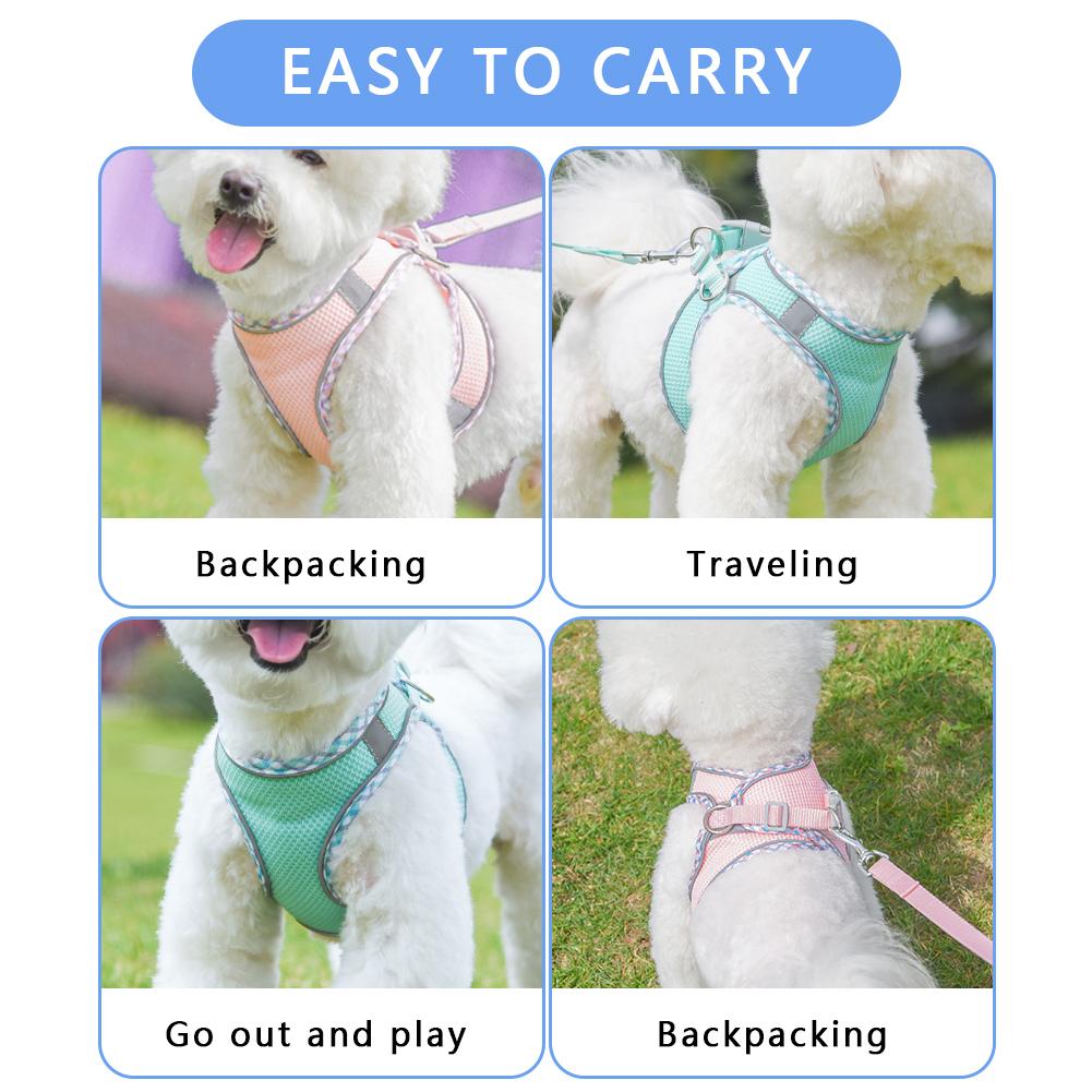 Puppy Harness&Leash Set Reflective Dog Harness with Matching Leash No-Pull Choke-Free for Small Medium Large Dogs