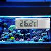 Thermomètre numérique électronique LCD 3D transparent pour aquarium, mesure de la température de l'eau de mer