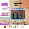Trampoline Household Children's Indoor Baby Bouncing Bed Children's Toys Abdominal Exercising Band Protecting