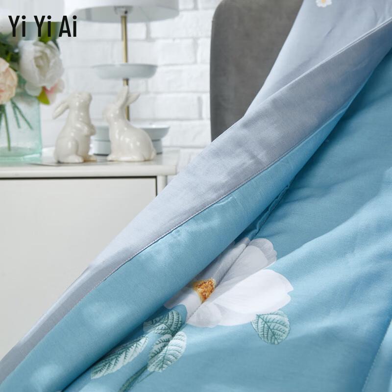 Yiyiai 100% Cotton Printed Summer AC Quilt