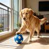 Dog Toys with Sound Latex Chew Balls Raised Texture Teeth Cleaning Flexible Balls Relieve Boredom And Anxiety Chew Toy