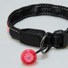 Pet Light Pendant Portable Convenient Anti-lost Mini High Brightness Dog Cat Safety Light