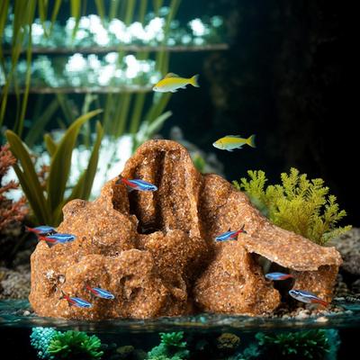 Fische & Meerestiere – Aquarien-Einrichtung