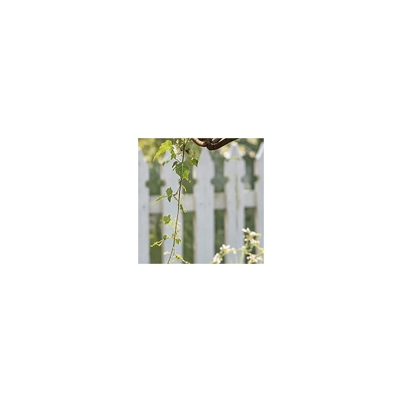 Patio Garden Decor Metal Umbrella Trellis Stake Climbing Plant Support Outdoor Iron Vintage Vine Pot