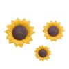 Glossy Sunflower Resin DIY Kit: Phone Case, Hair Clip, Jewelry