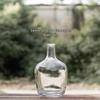 Large Transparent Japanese Andromeda Glass Vase - Thin-Neck, Big-Belly Design for Living Room Decor