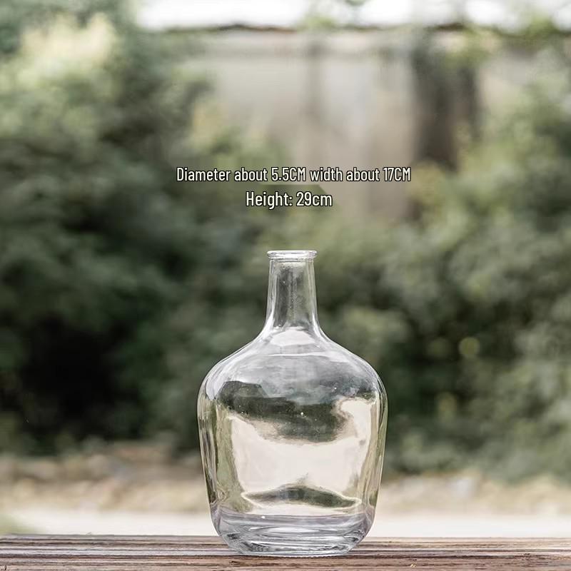 Large Transparent Japanese Andromeda Glass Vase - Thin-Neck, Big-Belly Design for Living Room Decor