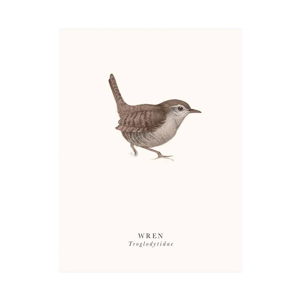 Tall Boy Prints Wren Print