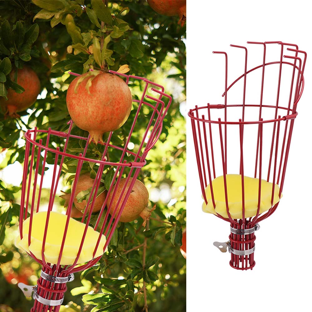 Testa Raccogli Frutta ad Alta Quota Raccoglitore Frutta Comodo Raccoglitore Frutta Attrezzi da Giardino