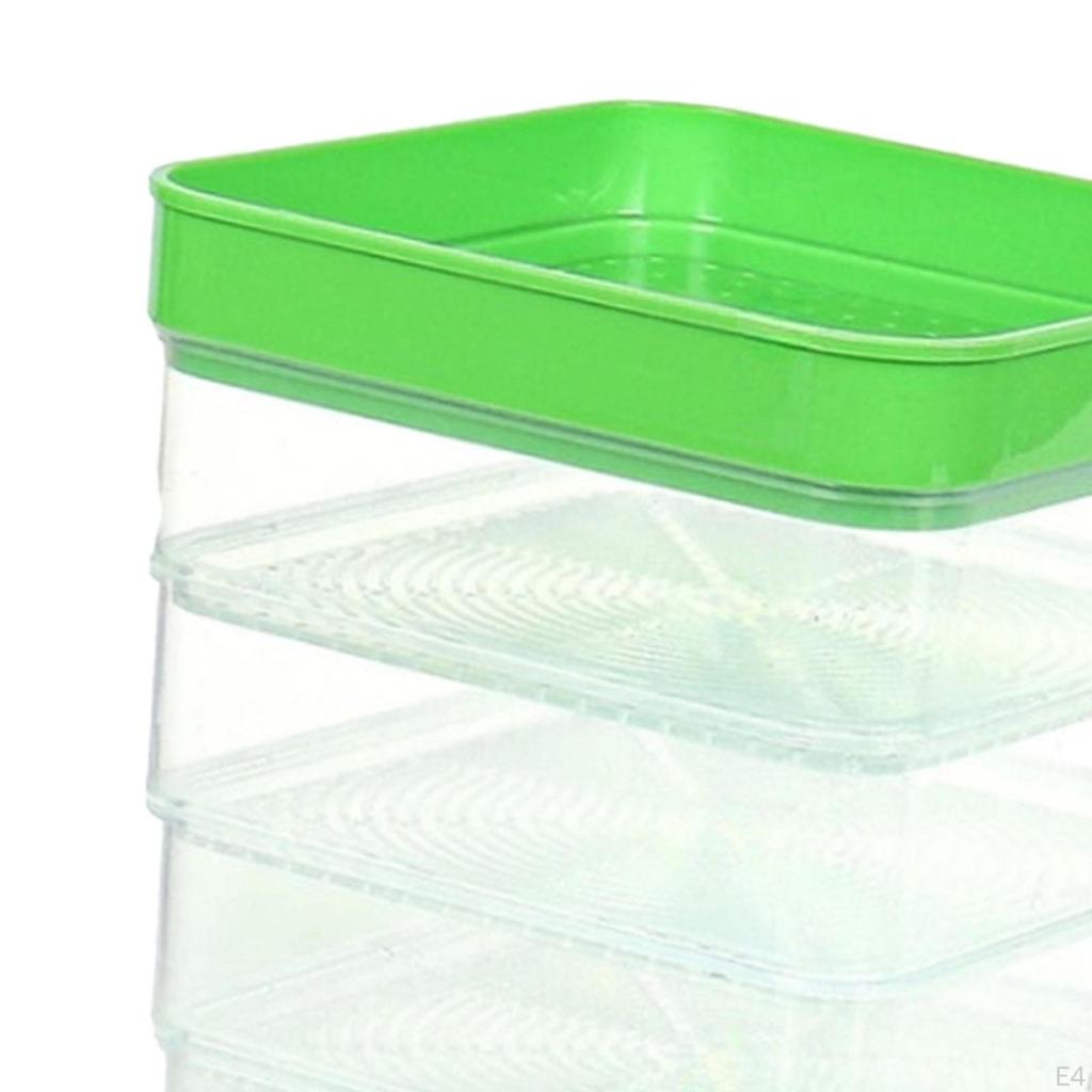 Seed Sprouter Kits with Lid Germinate Indoors for Broccoli Grass Wheat