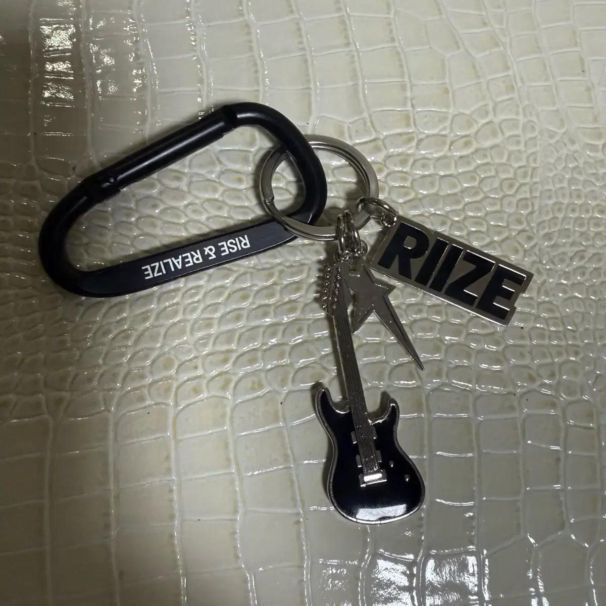 

Riize Carabiner Keyring