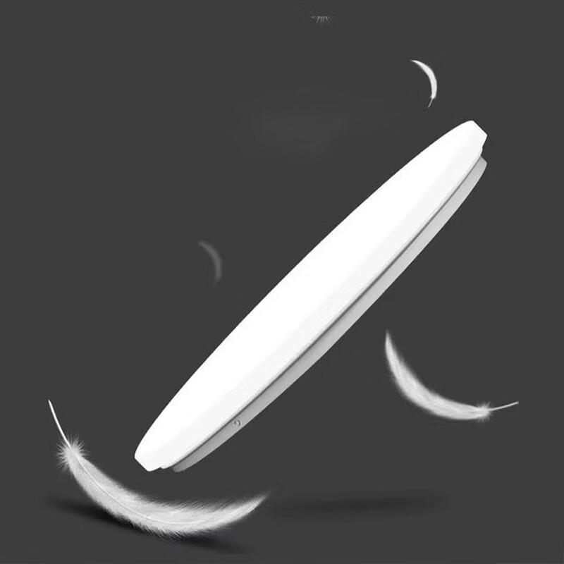 Runhong 15W Ceiling Lamp