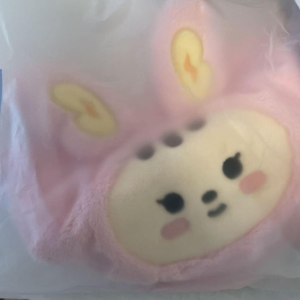 [USED] SEVENTEEN Jeonghan MINITEEN Pop-up Pouch