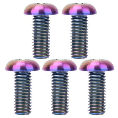 Lot de 5 boulons de porte-bidon de vélo en alliage de titane M5 x 12 et vis de frein à disque M5 x 10(M5*12