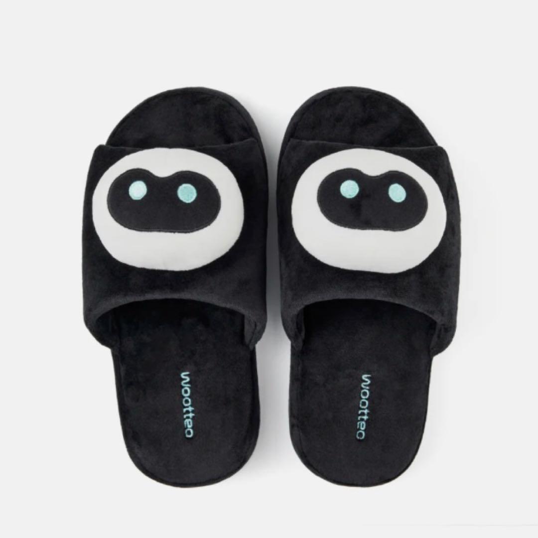 

[Б/У] Сниженная цена BTS JIN room shoes Seoul Pop-up JIN