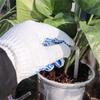 A60zsolar Timed Automatic Watering Device, Smart Watering Device, Gardening Lazy Flower Pot Plant Drip Irrigation Systemmay