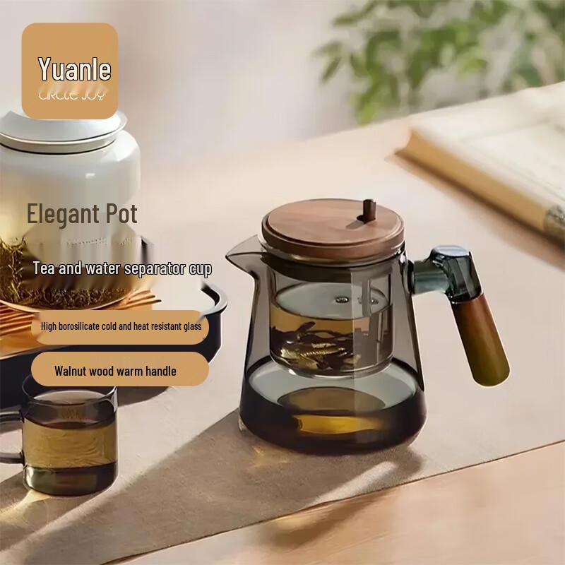 Circle Joy Glass Tea Infuser & Brewer