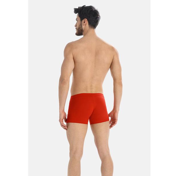 Боксеры Teyli Levi