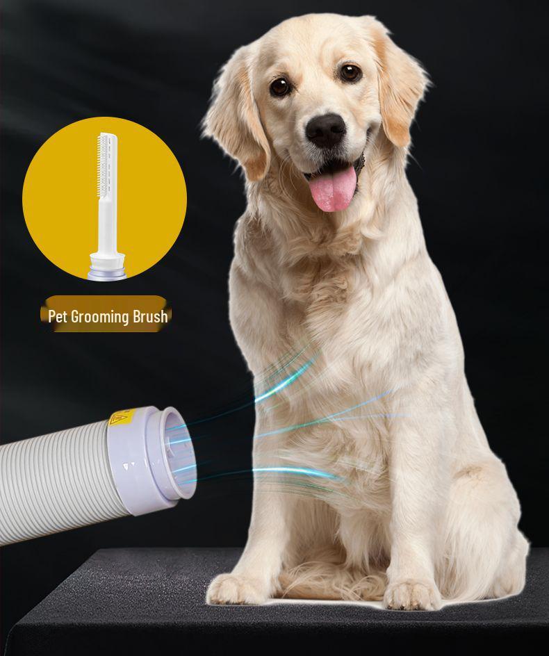 Multi-Function Heated Dryer: Blanket, Clothes, Pet, and Shoe Dryer with Quick-Dry Technology.