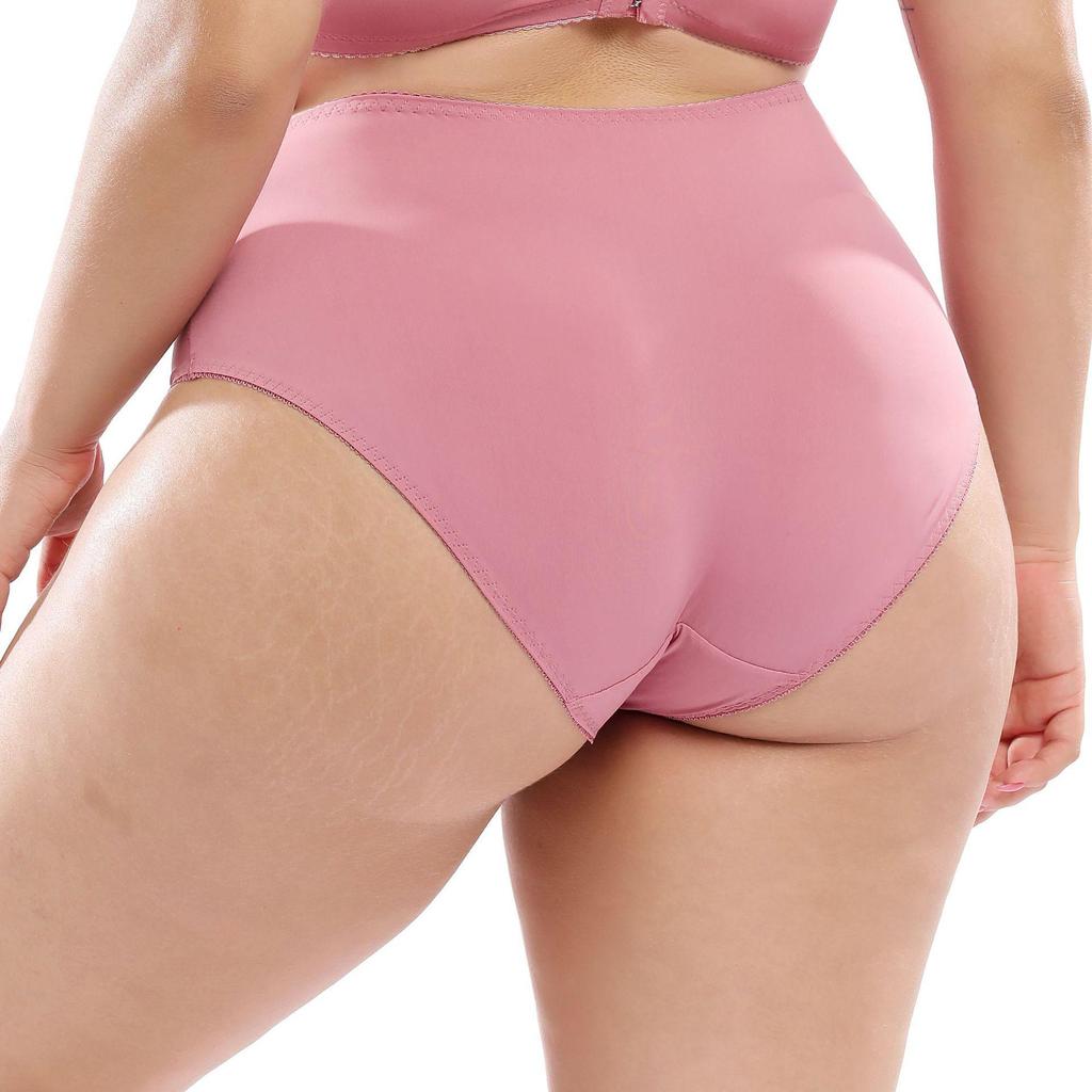 European & American Style Plus Size Women's Sexy Lace High-Waist Briefs L-5XL