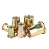 Color Zinc Flat Head Rivet Nuts