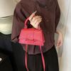 Stylish Mini Handbag For Fall 2024 Featuring Vintage Square Design And Pu Material