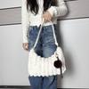 Plush Furry Tote: Trendy Autumn/Winter Versatile Single Shoulder Handbag for Women