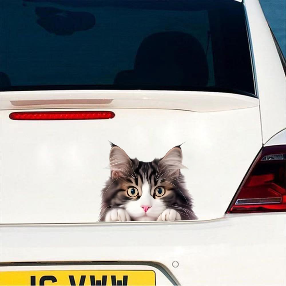 2 Cute Kittens Pack of Vinyl Decals Stickers, Covered Waterproof