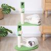 Cute Cat Scratcher Interactive Pet Toy for Cat and Kitten Playing Post