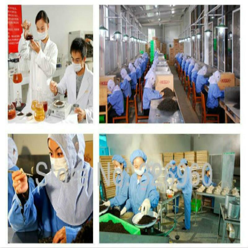 100g Organic Wheat Seedlings Tea Grass Extract Tea Powder Top Grade 100% Purely Natural