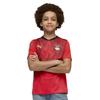 Puma Childrens/Kids World Cup 2026 Egyptian Football Shirt