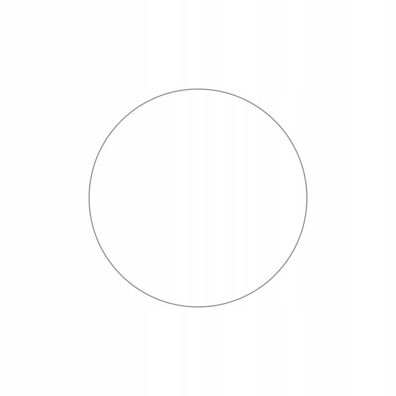 Sc Sw Glass 2.5D Garmin Fenix 6 / 6 Pro