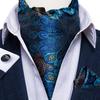 Vintage Ascot Tie for Men Casual Tie for Men Silver Grey Cravat Ascot Paisley Tie Hanky Cufflink Set