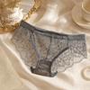 Transparent Lace Briefs Mesh Underwear Lingerie Women's Panties Romantic Date