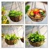 Coconut Flower Pot Hanging Basket Wrought Flowerpot Decorative Succulent Plant Pots Wall Mount Iron