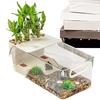 Turtle and Fish Tank Clear Area Habitat with Basking Stage for Crayfish Crabs Gecko Amphibians Fishes Small Pets Enclosure