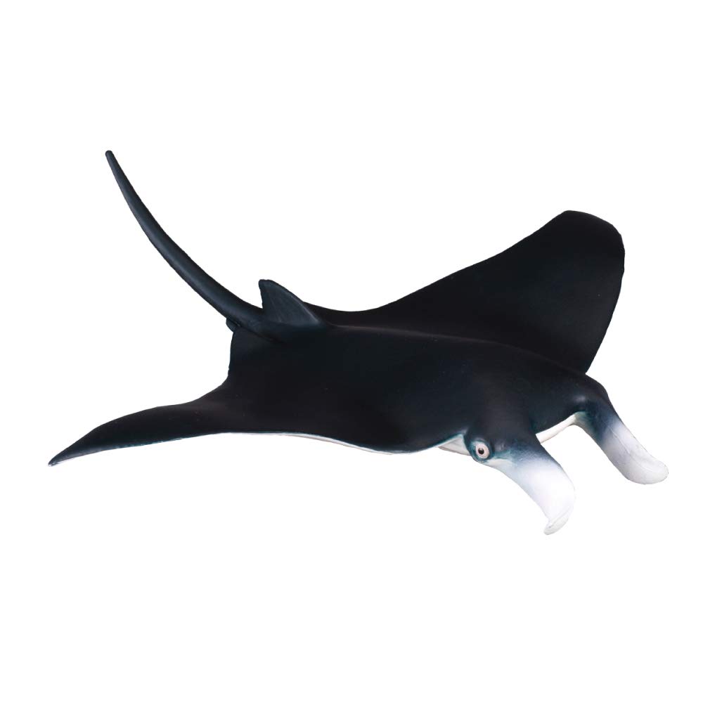 

Collcta Manta Ray 15 x 15 x cm 88040 Animal Hand Painted 2.5 Figurine,