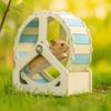 Animal Plastic Hamster Running Wheel Stable Base Silent Rodent Running Wheel 21cm Colorful Small Animal Wheel for Small Animals