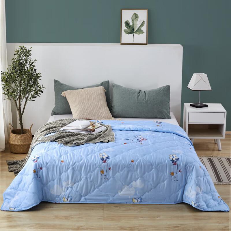Nanjiren Skin-Friendly Brushed Summer Comforter