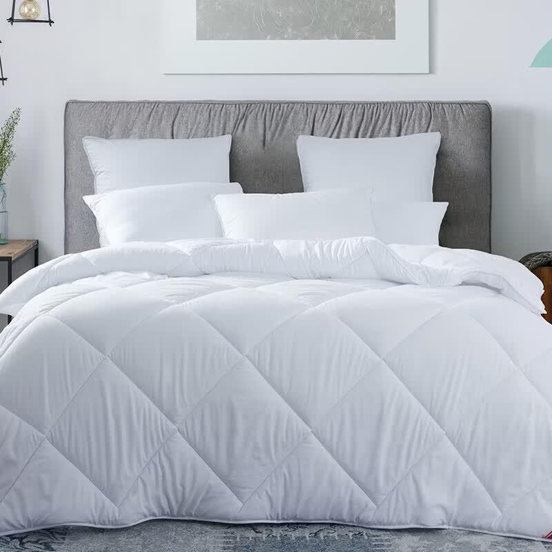 Mengjie Zhenmei Fine Iodine All-Season Duvet
