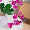 Decorațiuni pentru casă – Flori decorative şi coroane de flori
