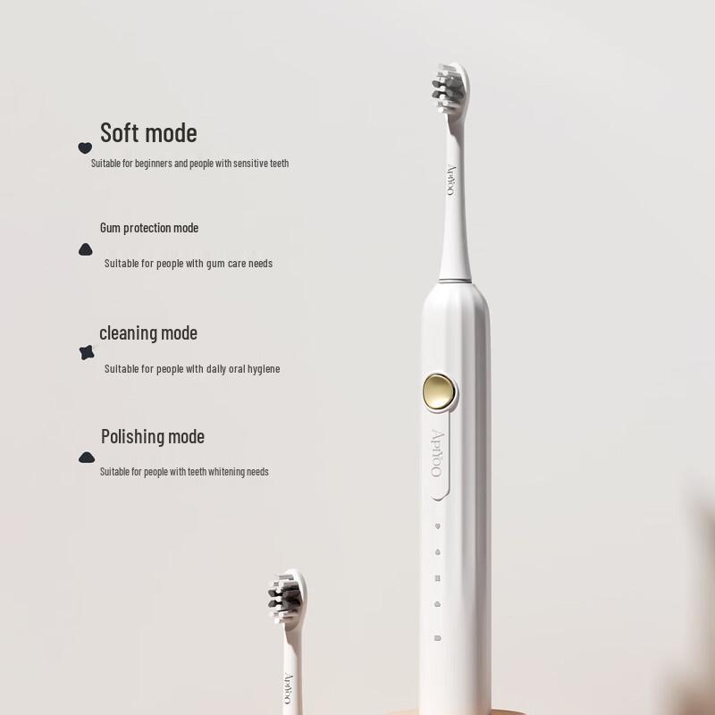 Aiyou T1 Sonic Electric Toothbrush Gift Set